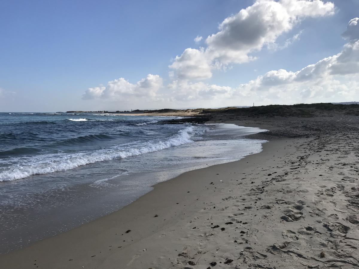 Apartment Caesarea 38 المظهر الخارجي الصورة